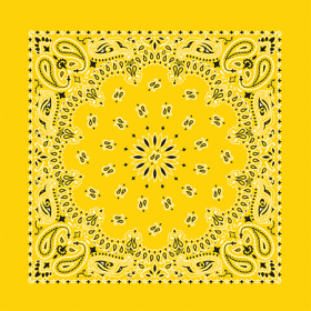 BANDANNA Paisley Lemon 12pk