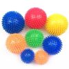 Pet Dog Toys Cat Puppy Sounding Toy Polka Squeaky Tooth Cleaning Ball TPR Training Pet Teeth Chewing Toy Thorn Balls Accessories